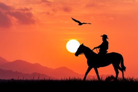 wild west cowboy