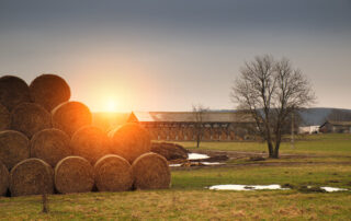 hay bales on a farm