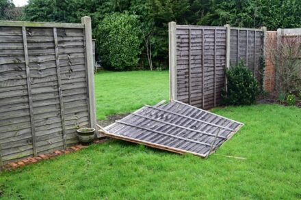 fences blown over in storm